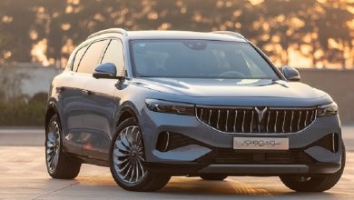 وویا فری ۲۰۲۵