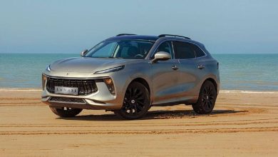 افزایش قیمت لاماری ایما