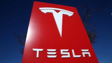 ناوگان دریایی بیوایدی