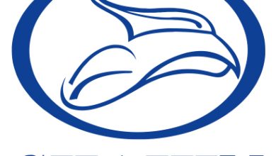 جدول کامل قیمت کارخانه مدلهای شاهین موتور از سری دلتا RX و SX تا کلیک و VSP، همراه با تحلیل بازار – شهریور ۱۴۰۴.