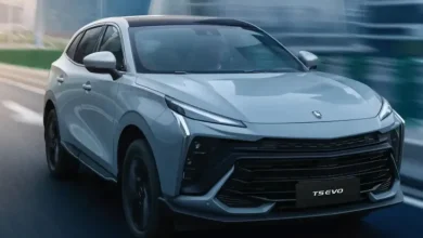 همه چیز درباره لاماری ایما