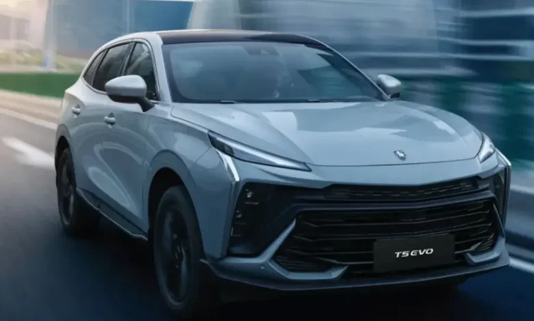 همه چیز درباره لاماری ایما