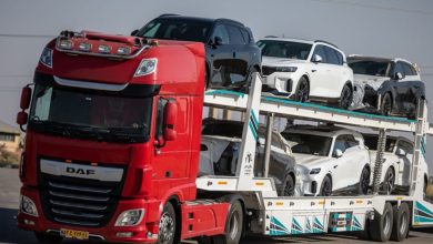 تحویل وویا فری ۲۰۲۵ به مشتریان ایرانی