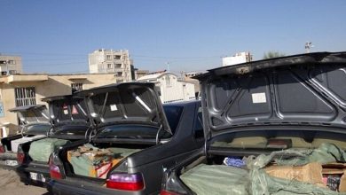 قاچاق زیر پرچم قانون؛ لنج‌های ۵۰۰ تنی خوراک شوتی‌ها!