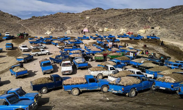 واردات گازوئیل