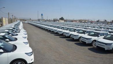 کندی تحویل و رشد قیمت وارداتی‌ها؛ سازمان حمایت از برخورد قانونی خبر داد